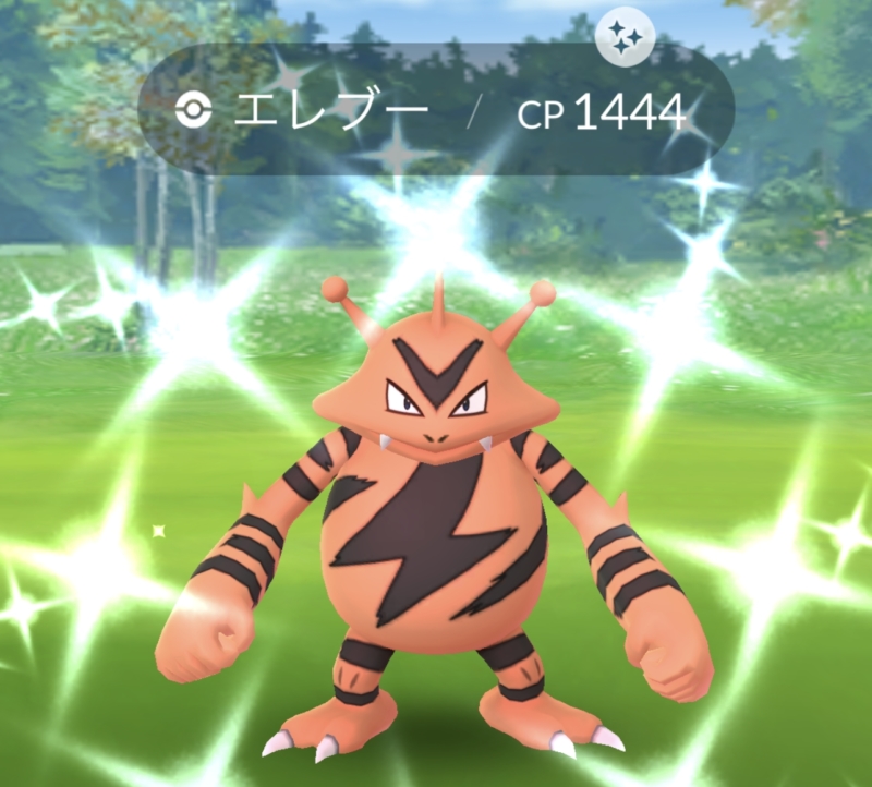 エレブーコミュデイ お疲れ様 ﾟwﾟ ﾉ ポケモンgo的な