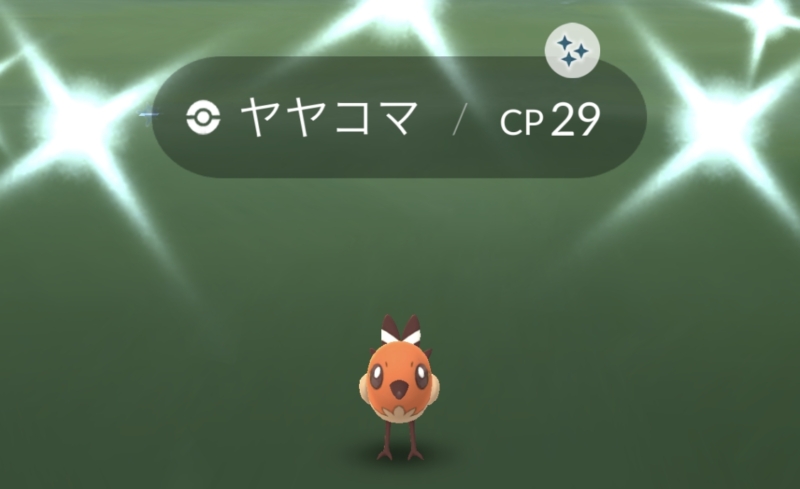 ヤヤコマコミュデイ お疲れ様 ﾟwﾟ ﾉ ポケモンgo ポケモンgo的な