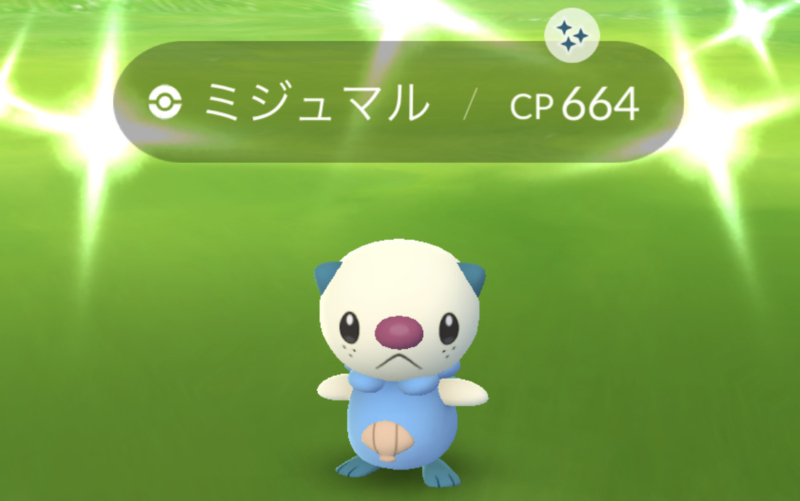ミジュマル コミュデイ お疲れ様 ﾟwﾟ ﾉ ポケモンgo ポケモンgo的な